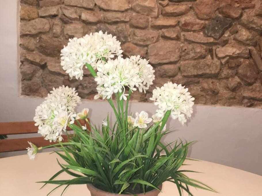 Apartament De La Susanna Old Town Mezzanine Tarragona Zewnętrze zdjęcie